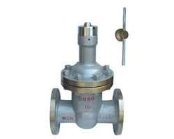 FDZ45H 永磁防盗闸阀