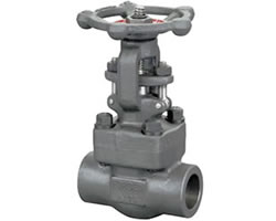 Z11H/Z11Y 承插式锻钢闸阀