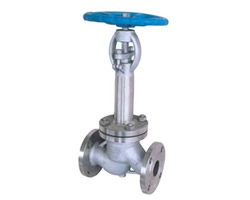 DJ41W 不锈钢低温截止阀