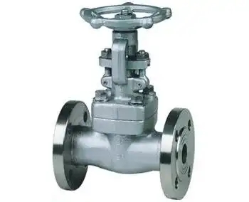 Z41H、Z41Y型150(Lb)~600(Lb)钢制楔式闸阀