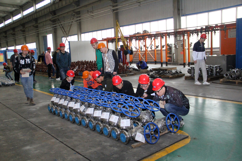 国产阀门与国外阀门行业不同市场分析